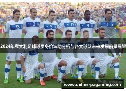 2024年意大利足球球员身价波动分析与各大球队未来发展前景展望