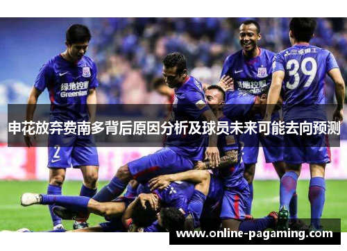 申花放弃费南多背后原因分析及球员未来可能去向预测