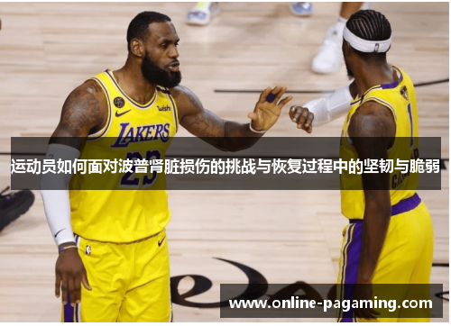 运动员如何面对波普肾脏损伤的挑战与恢复过程中的坚韧与脆弱