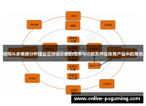 如何从多维度分析建业足球俱乐部的性质与功能及其在体育产业中的角色