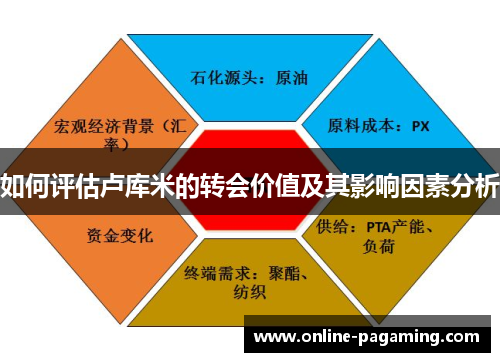 如何评估卢库米的转会价值及其影响因素分析