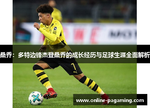 桑乔：多特边锋杰登桑乔的成长经历与足球生涯全面解析